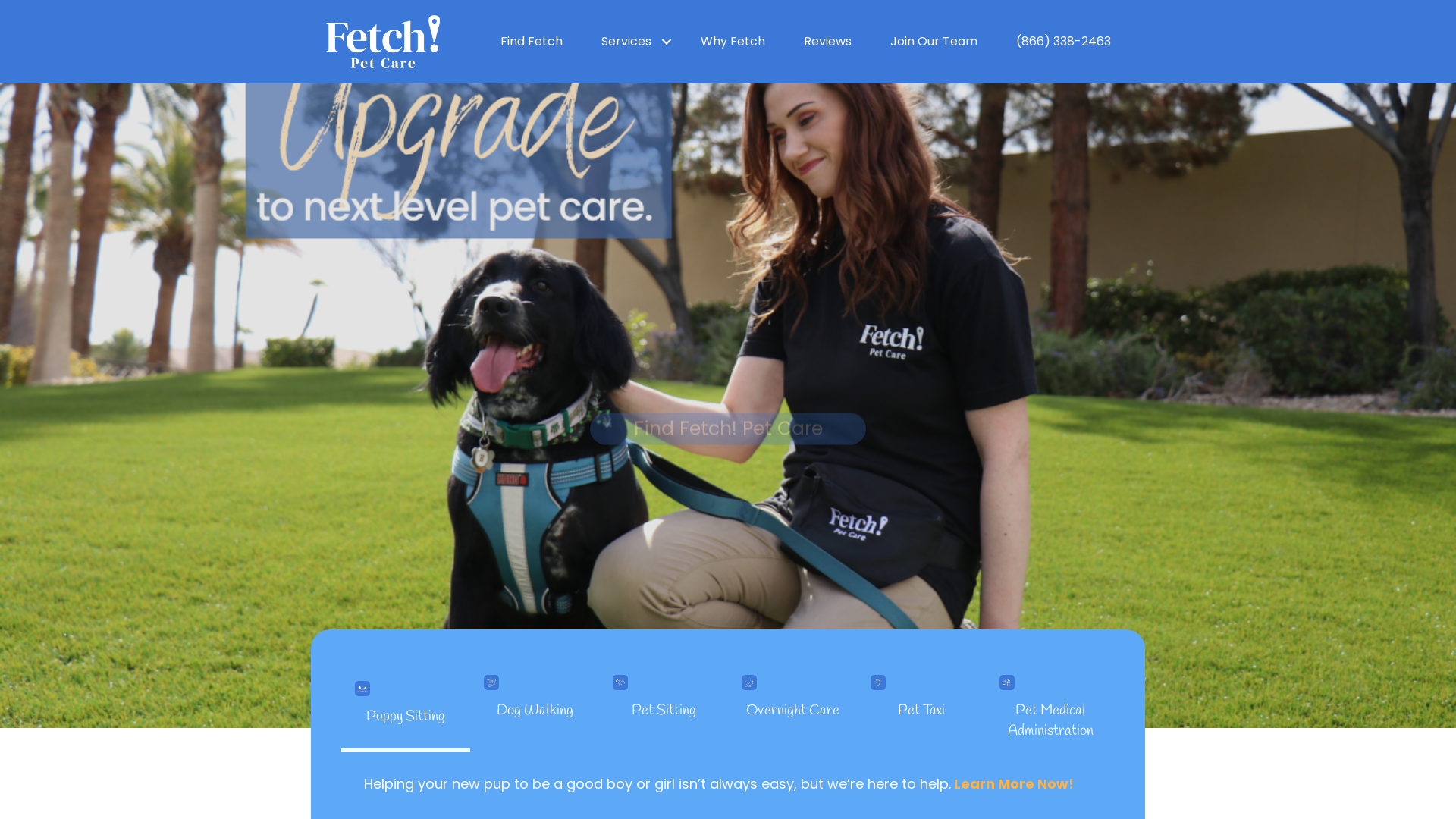 Fetch! Pet Care Miami